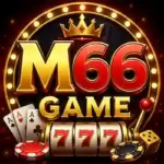 M66 Game