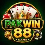 PAKWIN88 Game